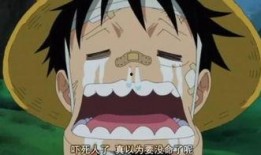 路飞最新爆料是什么动漫,揭秘神秘新动漫，热血冒险再掀高潮！