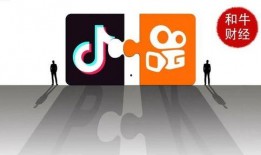 抖音大佬爆料视频下载,下载背后的秘密与技巧