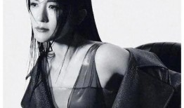 谢娜最新八卦爆料,揭秘明星背后的情感纠葛