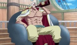 航线青年白胡子最新爆料,探寻神秘航线背后的传奇故事